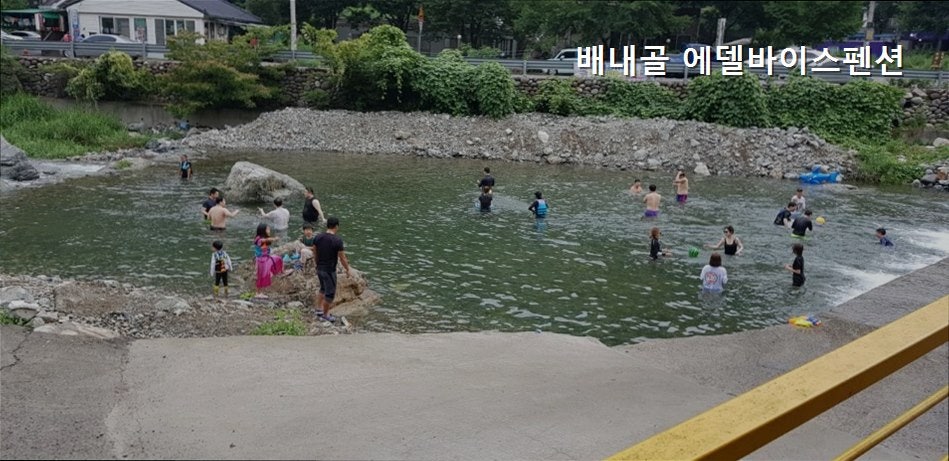 에델바이스펜션 사진 2