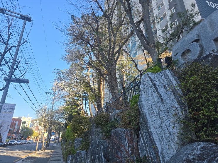  "부동산 가서 구경만 하나?" 임장 뜻 제대로 모르면 내 집 마련 절대 못 하는 이유