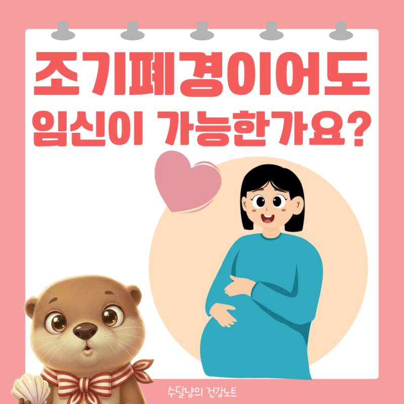 조기폐경 초기라면 임신 가능성 아직 남아있습니다