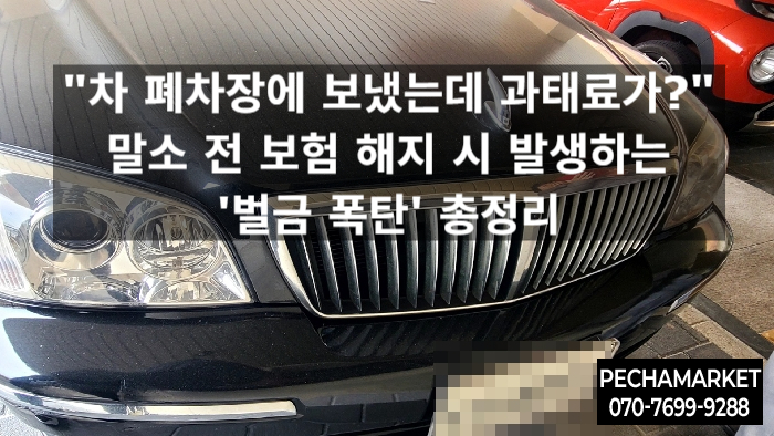  "차 폐차장에 보냈는데 과태료가?" 말소 전 보험 해지 시 발생하는 '벌금 폭탄' 총정리