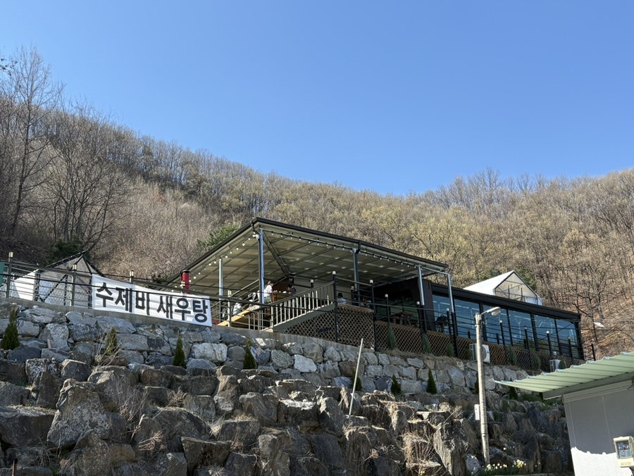 파인트리 사진 6