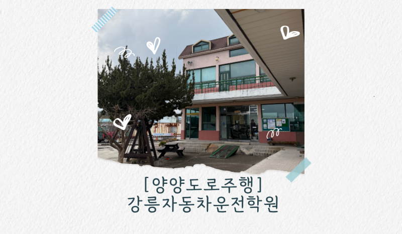 강릉 운전연수 후기: 주문진 픽업 가능한 강릉자동차운전전문학원 (장롱면허 탈출!)