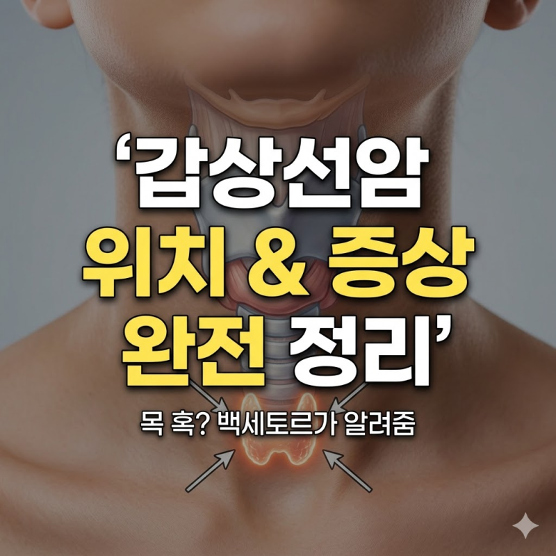 갑상선암 위치, 목 어디에 있는지 한 번에 알아보자
