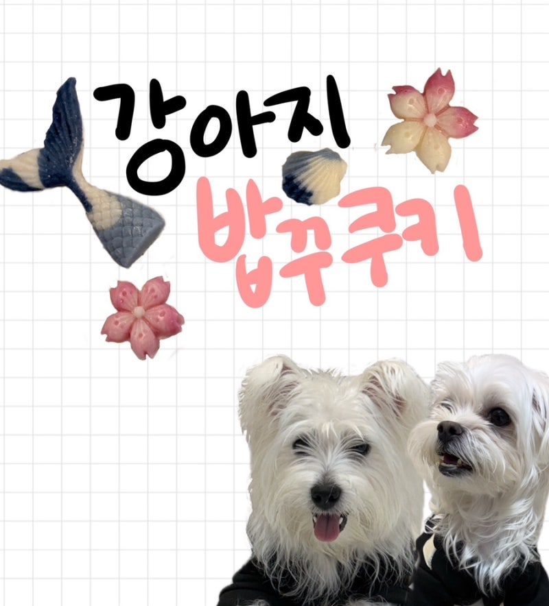 강아지 밥꾸쿠키 간단하게 만들기.(강아지 수제간식만들기)