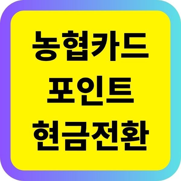 농협카드 NH 포인트 현금전환 방법 및 사용처 확인