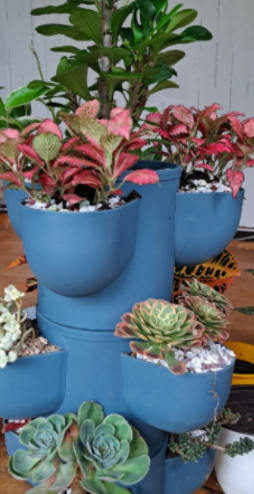 일상이 풍성하고 행복해지는 반려식물용품 전문 쇼핑몰 !