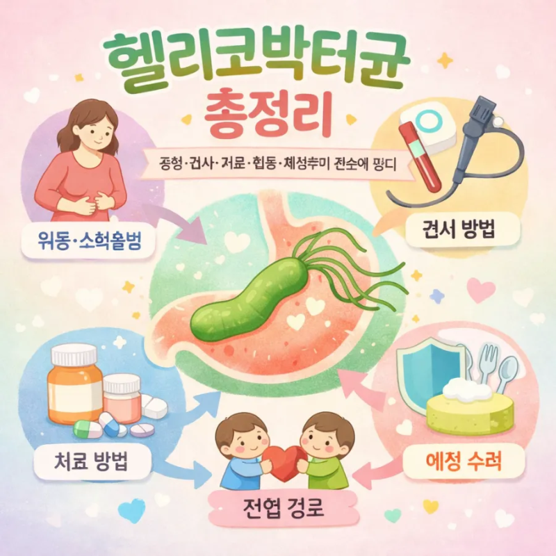헬리코박터균 총정리 | 증상·검사·치료·전염·예방까지 한눈에 정리 제목이미지생성. 정사....