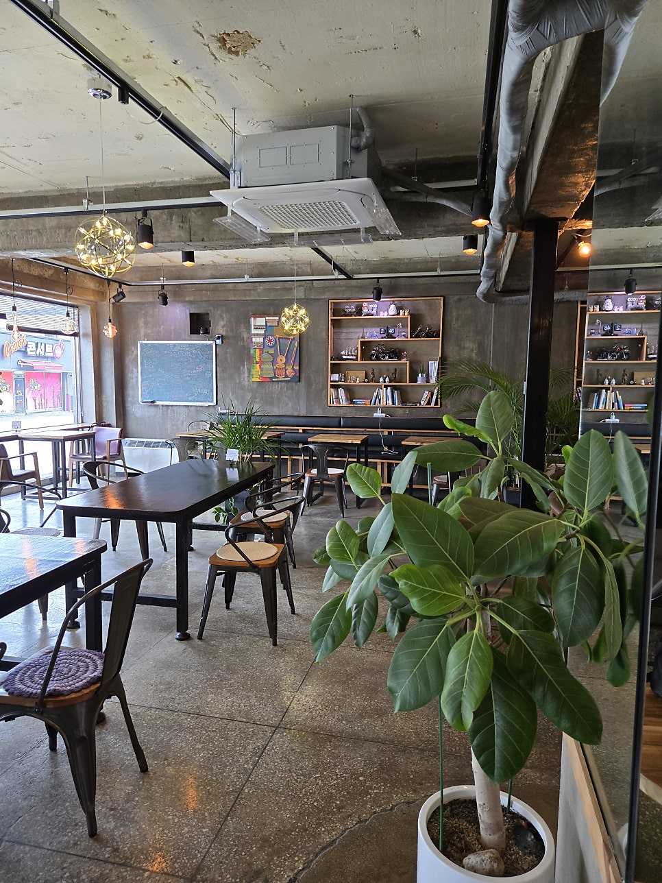 체도 사진 5