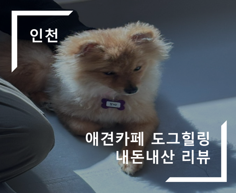 사진 6