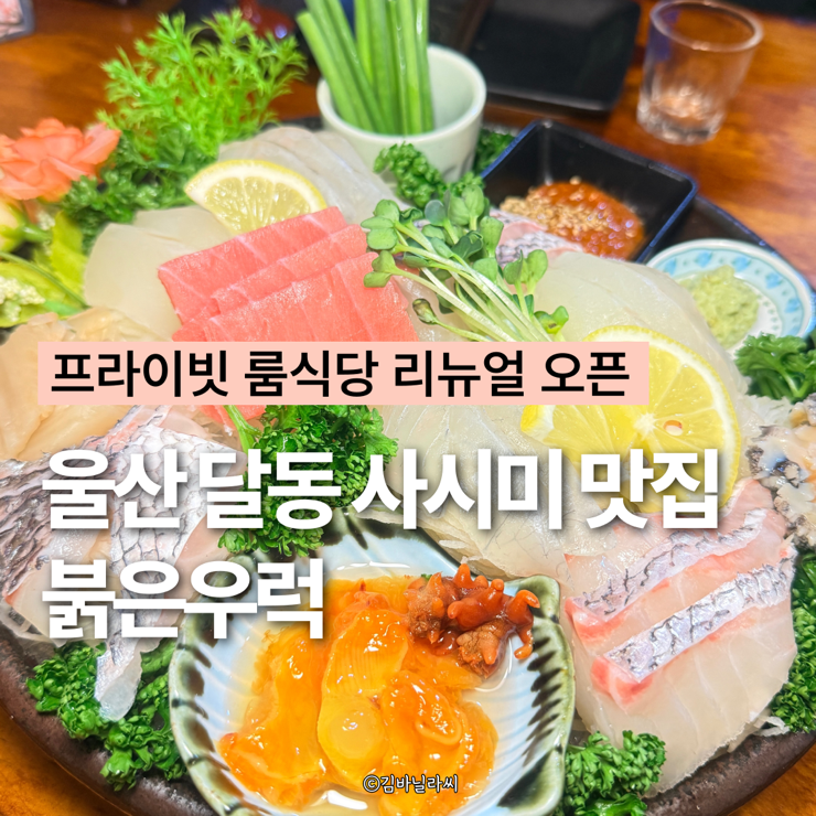  울산 달동 횟집 붉은우럭 리뉴얼 룸식당 모임장소 사시미 맛집