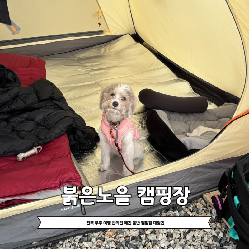 사진 3