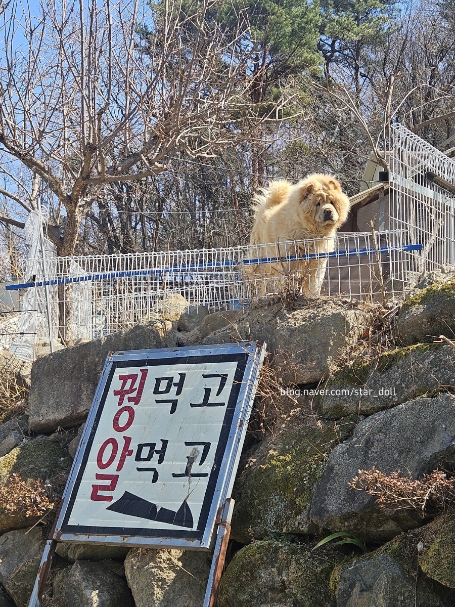꿩먹고 알먹고 사진 2