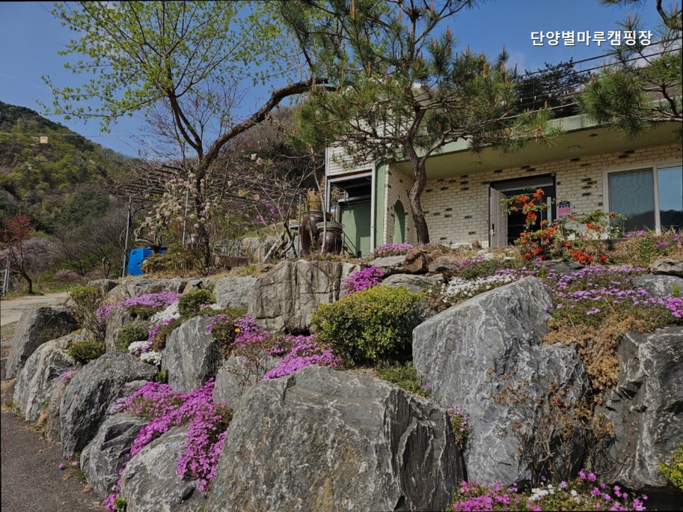 단양별마루캠핑장 사진