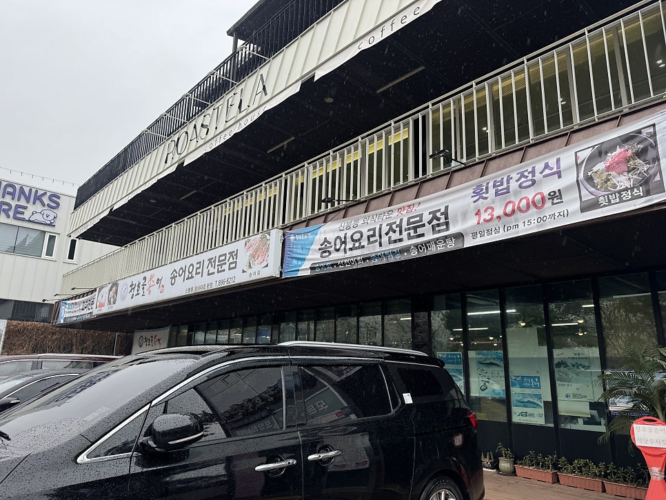 청호골송어 사진 2