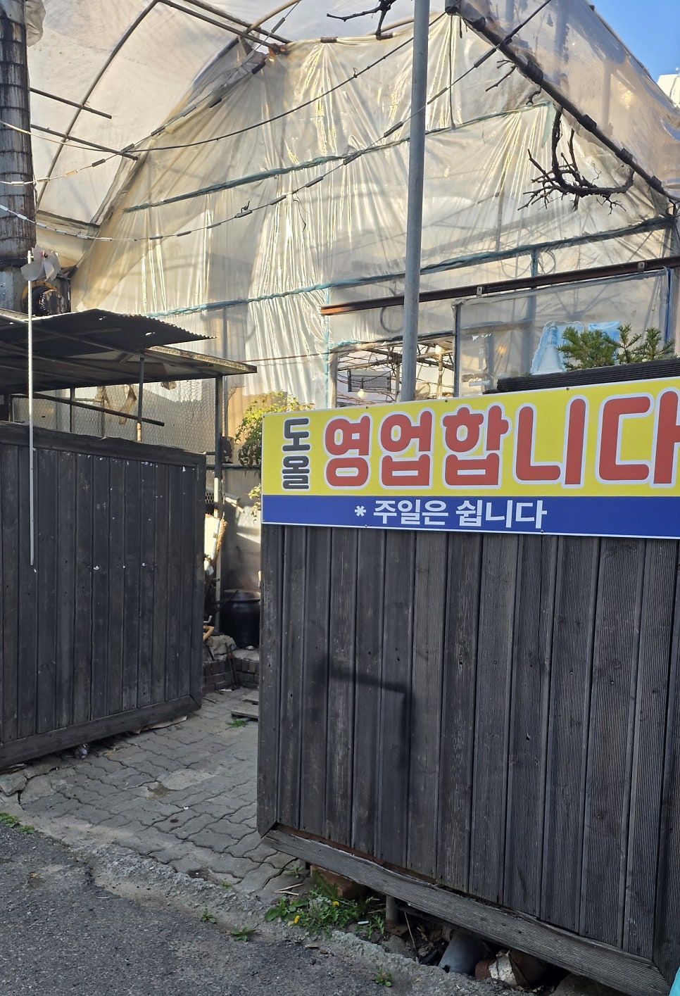 도올 사진 3