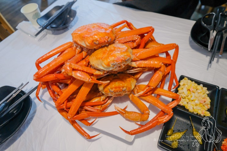 <b>속초</b> 중앙시장 홍게 무한리필 동명항 <b>오징어난전</b> 맛집 먹거리