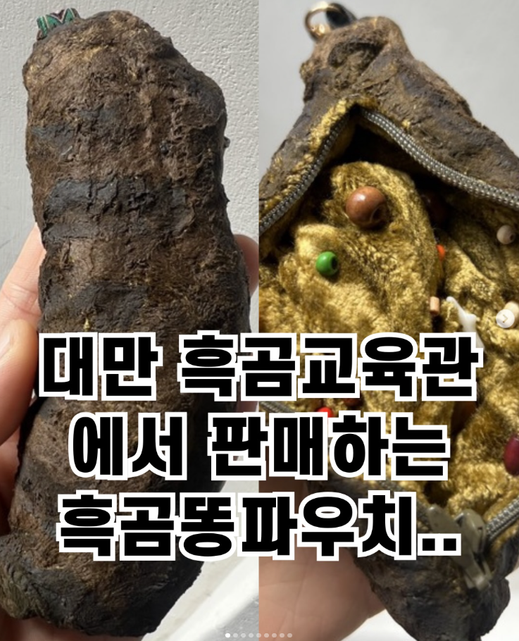  대만 흑곰교육관에서 판매하는 흑곰똥파우치