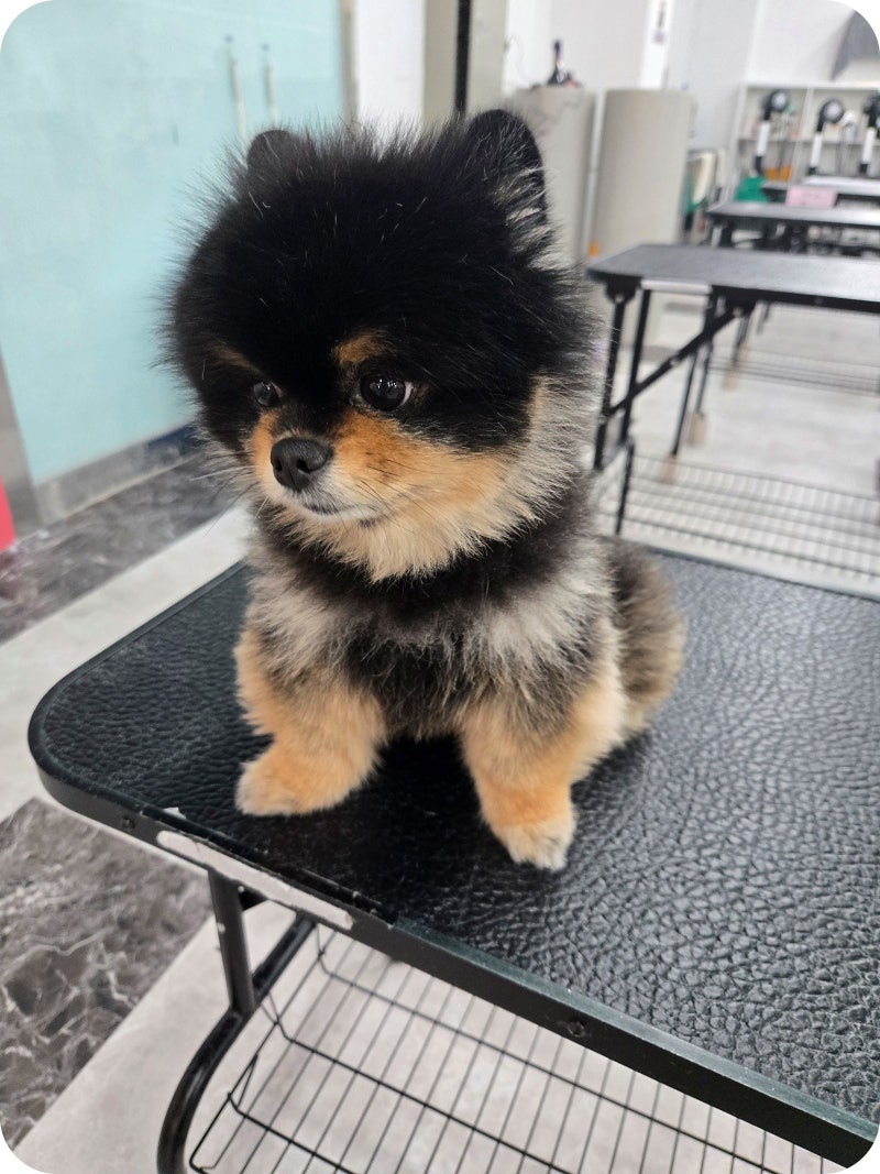 사진 4