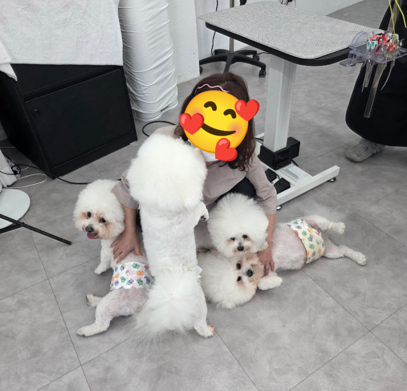 사진 2