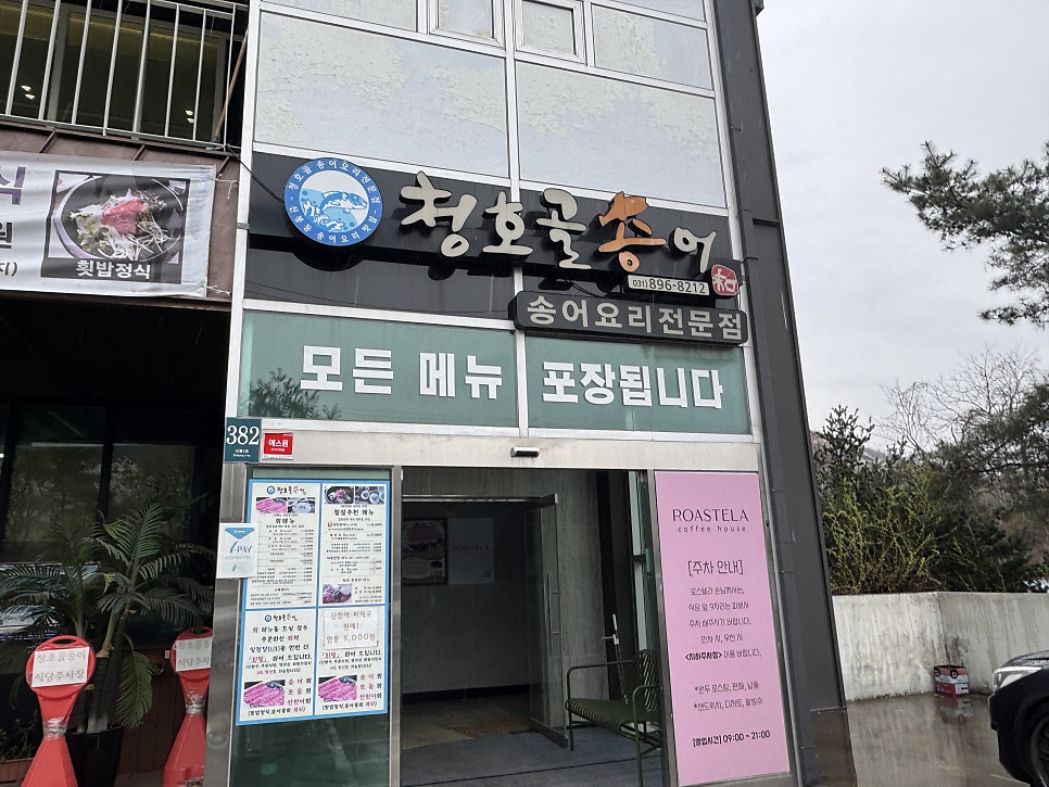 청호골송어 사진 3