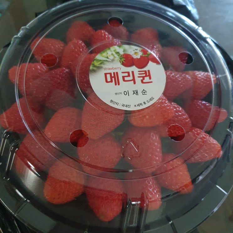  지금이 기회~! 딸기 쌀 때 많이 먹어야지
