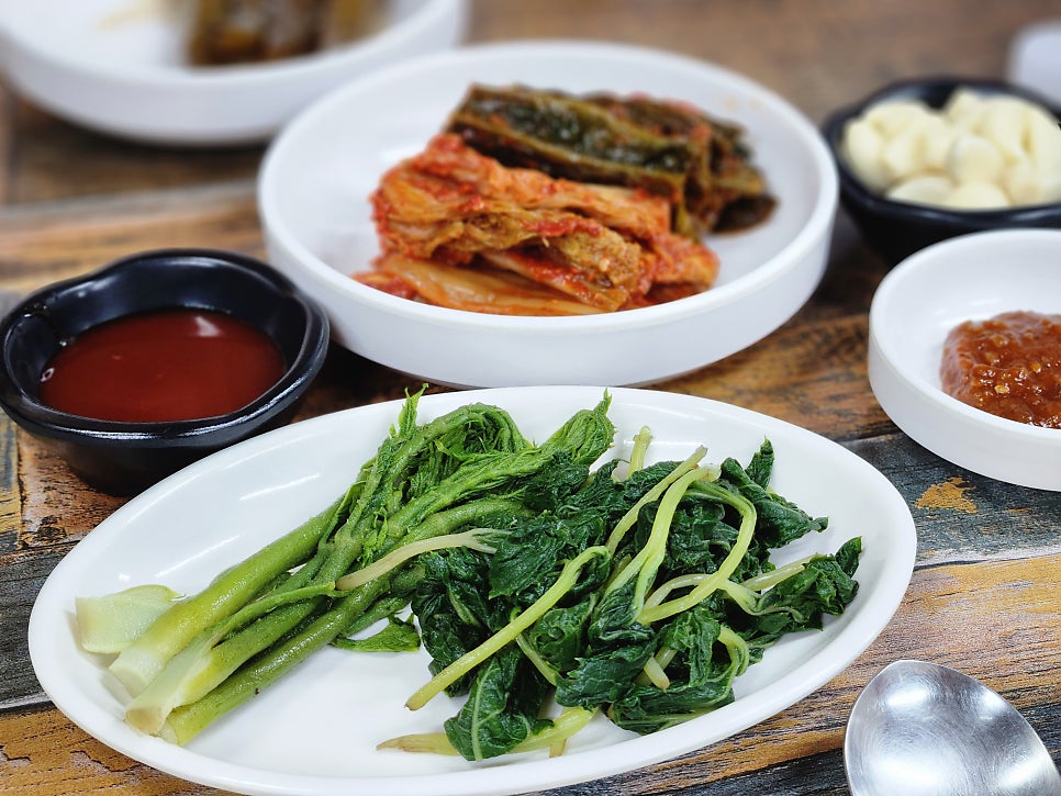 꿀돼지 사진 6