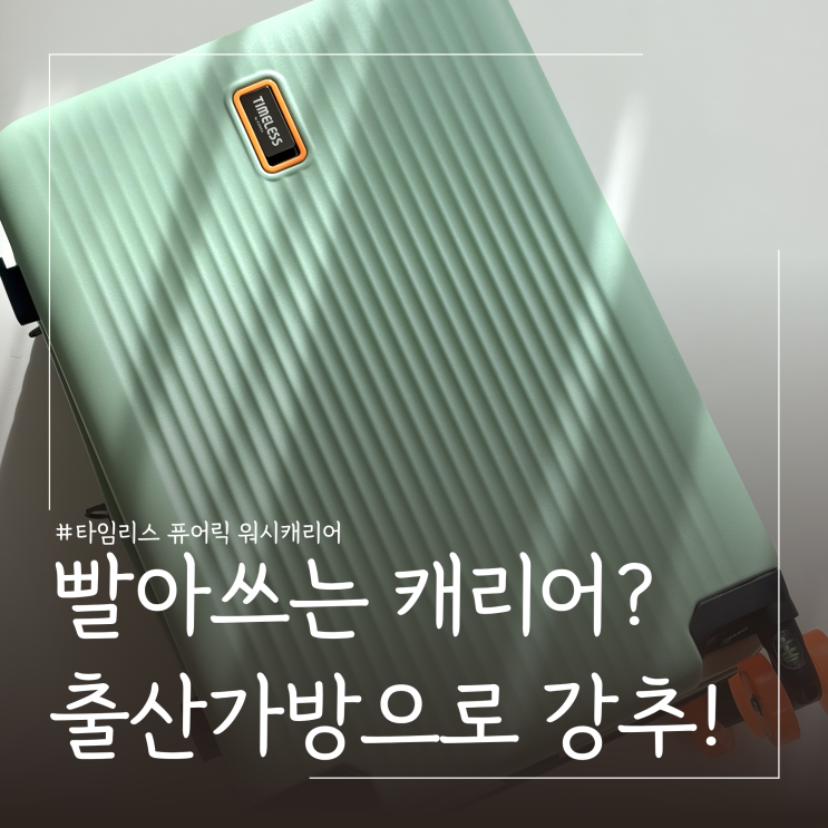  빨아쓰는 출산 가방 캐리어 사이즈 추천 타임리스 퓨어릭 워시캐리어