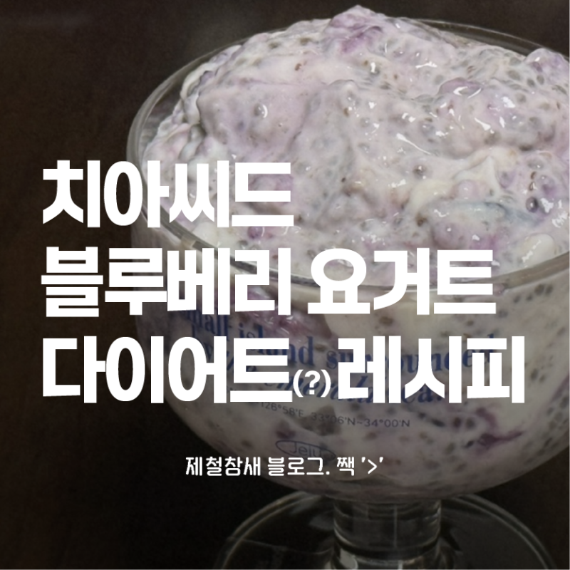 D+1. 매일 저녁 치아씨드 블루베리 요거트를 먹으면 살이 얼마나 빠질까? 진짜 뚱신의 다이어....