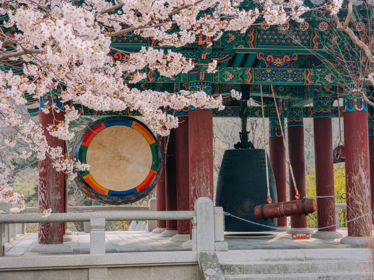  경주 드라이브 가볼만한곳, 기림사(운영시간, 약사전)