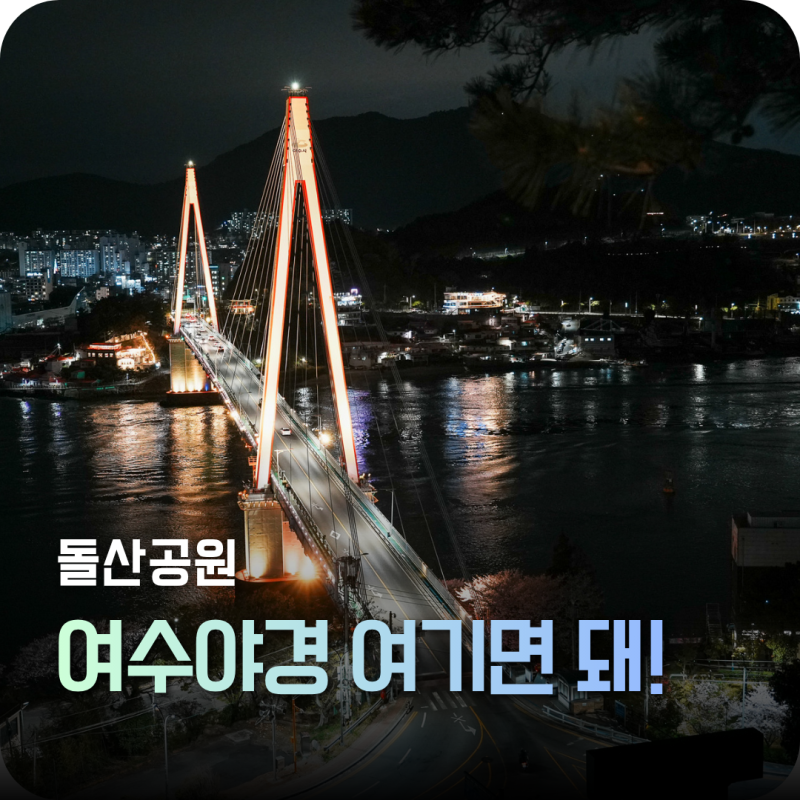 여수 돌산공원 야경, 짧게 봐도 충분했던 이유