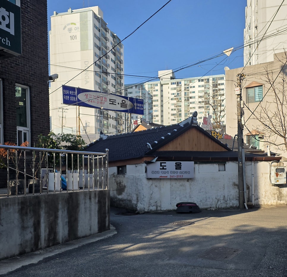 도올 사진 1
