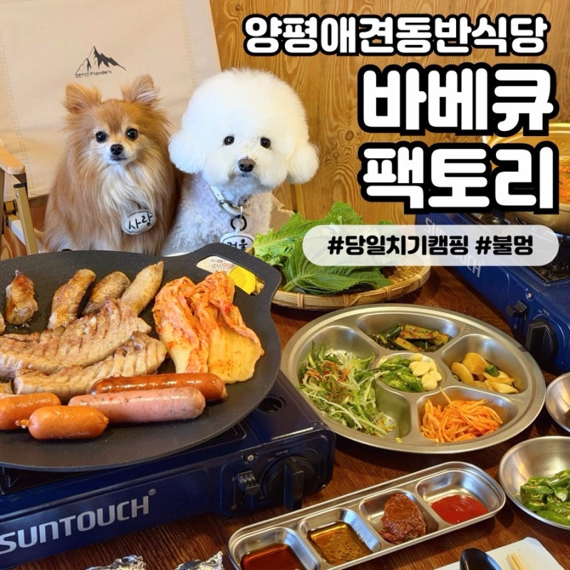 [바베큐팩토리 양평점] 양평 애견동반식당 서울 근교 당일치기 캠핑 바베큐장