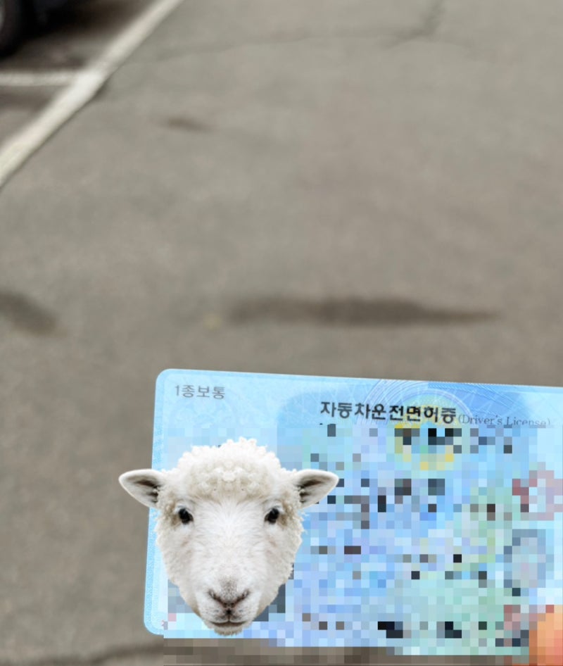강서면허시험장 1종 보통 운전면허 적성검사