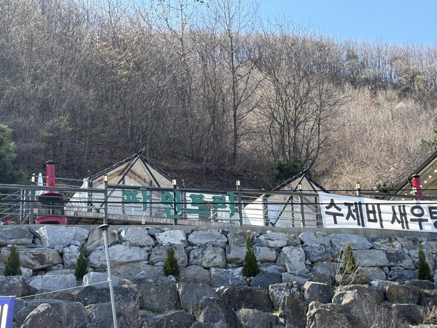파인트리 사진 4