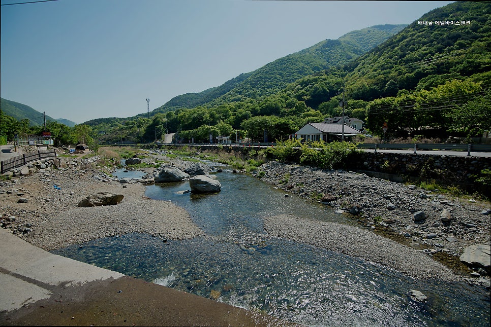 에델바이스펜션 사진 1