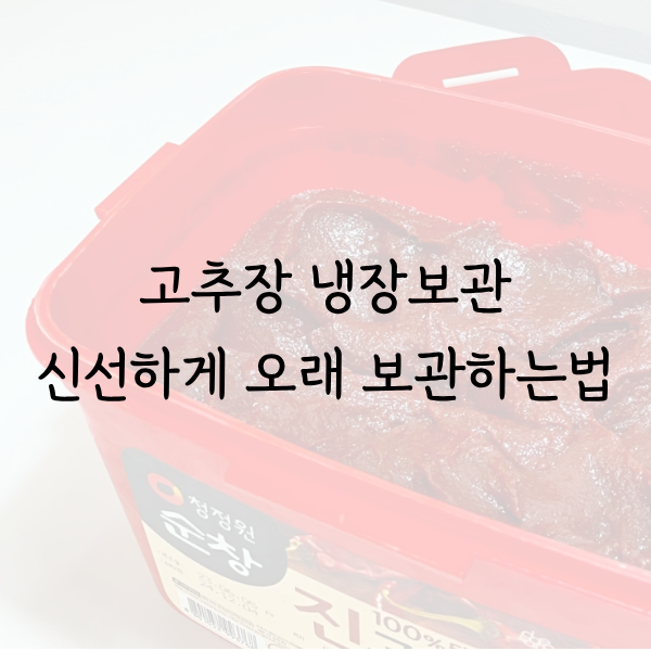 고추장 보관법 신선하고 오래 유지하는 방법 3가지