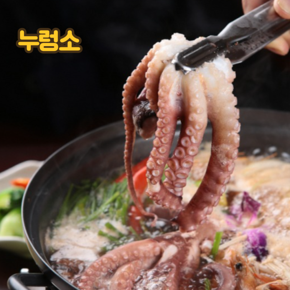 누렁소 사진 3