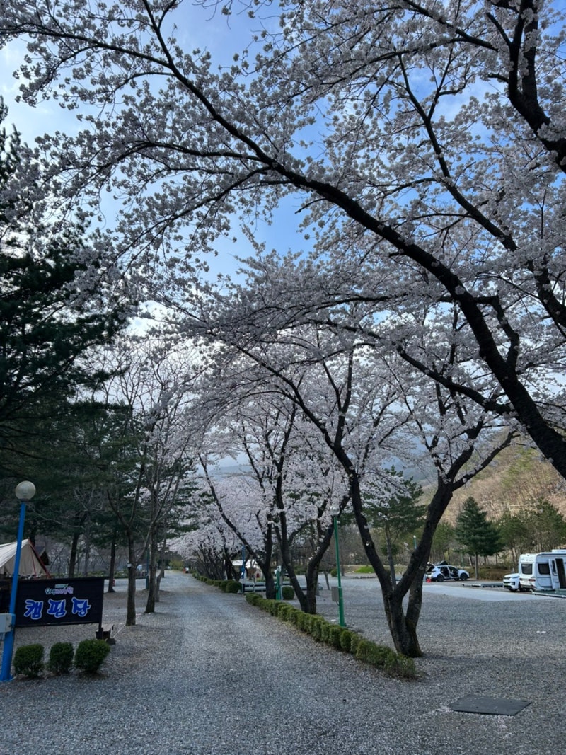사진 4