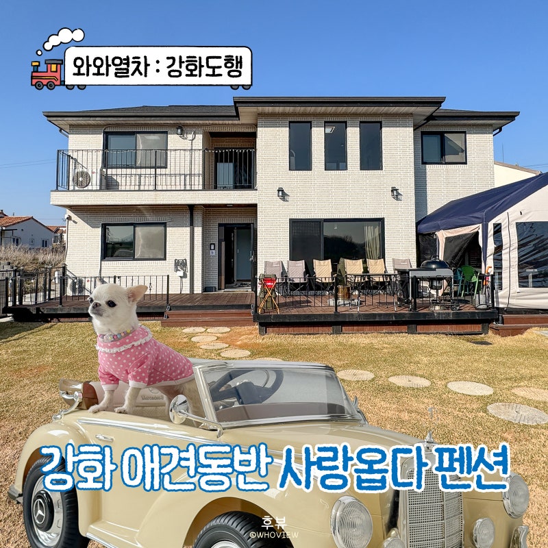 인천 강화도 애견동반 독채 펜션 사랑옵다 가족여행 숙소 추천