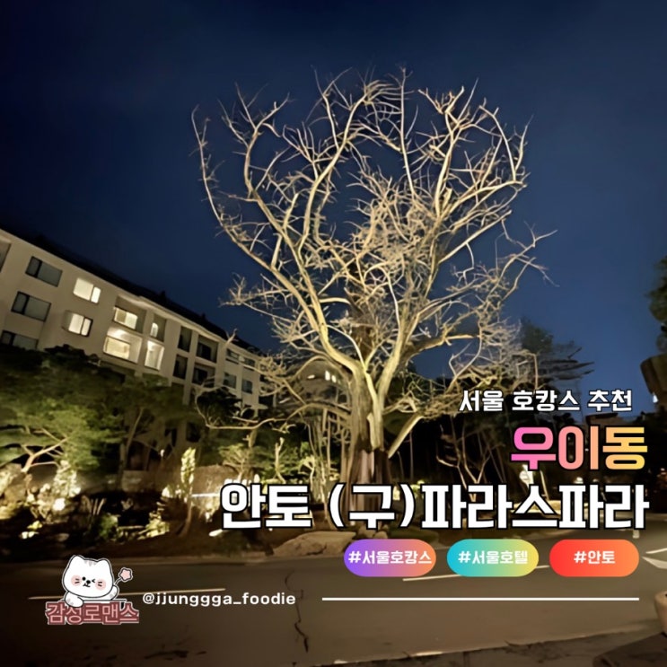  (구)파라스파라 서울 도심속 호캉스 즐기기 안토 리조트 숙박