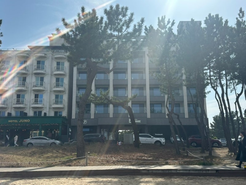 [호텔] 강원도 강릉 경포해변 경포마레호텔, 강릉 뚜벅이 여행 숙소 경포해변 숙소 경포마레 ....