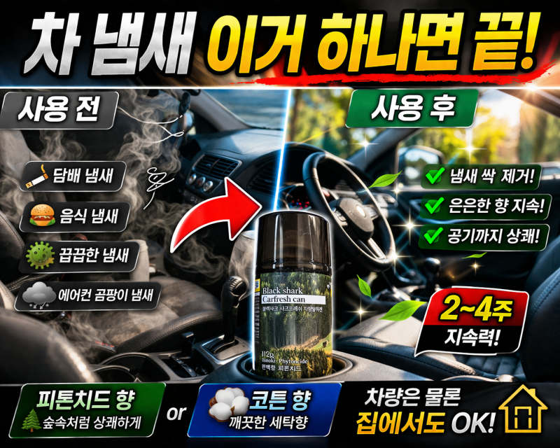 차량용 방향제 추천 담배 냄새·음식 냄새 제거 끝판왕 (다이소 가성비템)