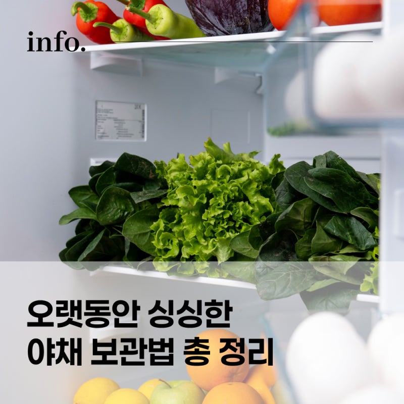 야채 채소 보관법 '이것'만은 하지 마세요! 이미지 1장으로 정리했어요.