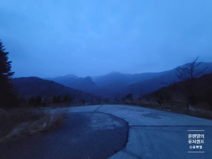 사진 7