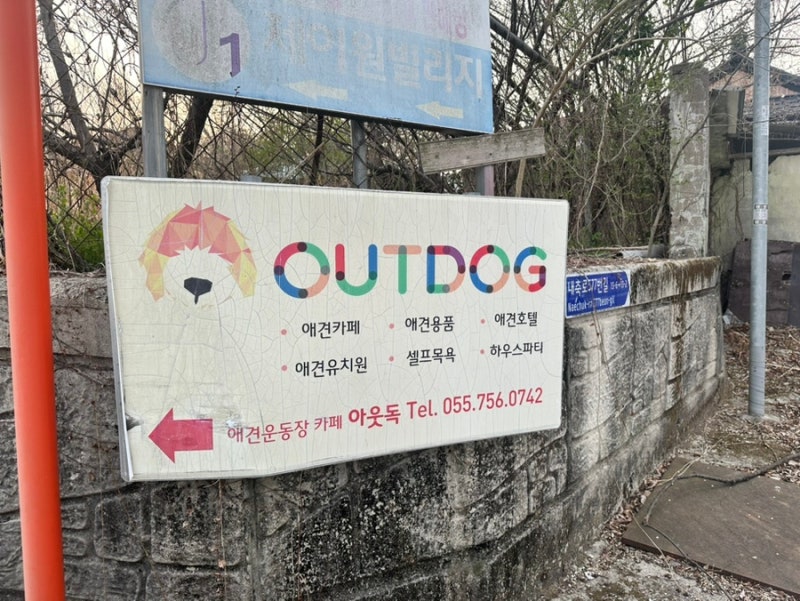 사진 3