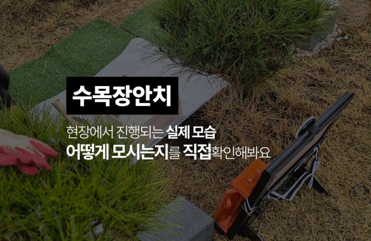  수목장 안치 방법 :: 어떻게 모시는지 궁금하죠?