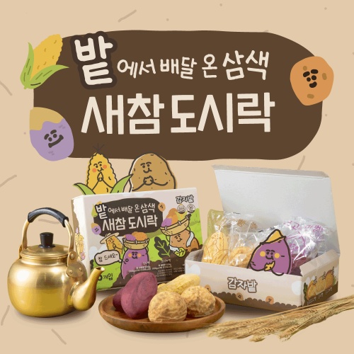  춘천 감자밭 삼색 새참 도시락 감자빵 고구마빵 옥수수빵 솔직후기