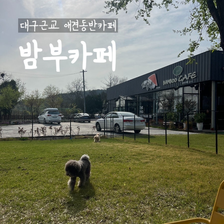 밤부카페