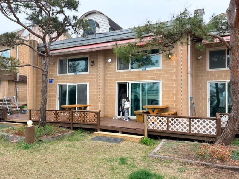 사진 5