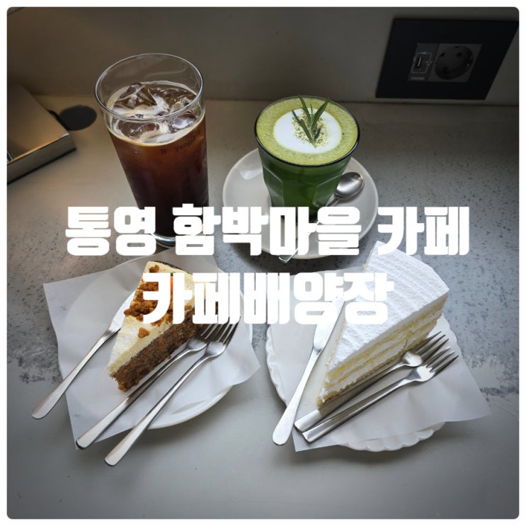  통영여행 추천카페, 통영 함박마을 카페 『 카페배양장 』 말차라떼, 우유생크림케이크, 크림치즈 당근케이크 솔직후기